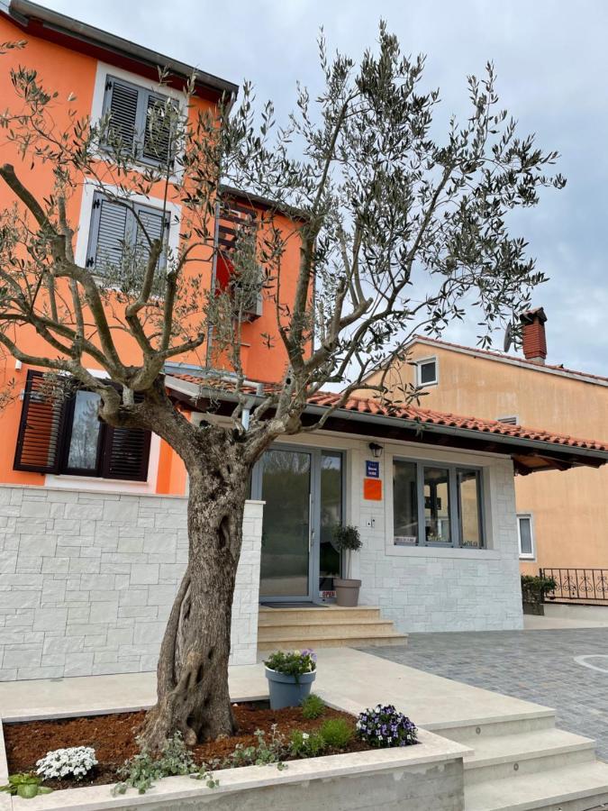 B&B Sea Joy Rovinj Exteriör bild